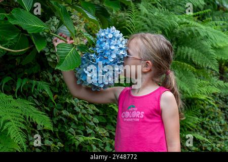 Kleines Mädchen, das eine blaue Hortensie riecht Stockfoto