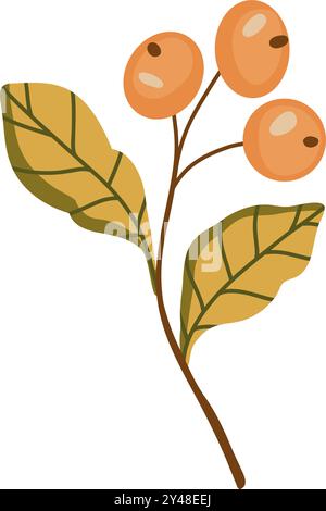 Branche mit Orangenbeeren und Blättern verschiedener Formen. Set von Vektorillustrationen für das Erntefest für Poster, Banner, Karten Stock Vektor