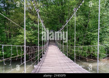 Brücke, Wald, Pfad Holzbrücke führt durch einen üppigen Wald mit Bäumen auf beiden Seiten. Stockfoto