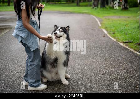 Eine asiatische Hundebesitzerin trainiert ihren Hund, während sie ihm einen Spaziergang in einem grünen öffentlichen Park macht, um Handschlag bittet und mit ihm spricht. Ein zugeschnittenes Bild Stockfoto