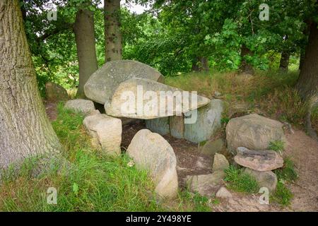 Die Lancken-Granitz-Dolmen wurden im Mittelneolithikum auf der Insel Rügen im Sommer Lancken-Granitz errichtet Stockfoto