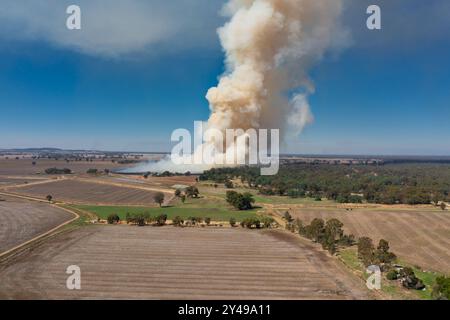 Luftbild eines fernen Buschfeuers, das auf trockenem Farmland bei Barooga in New South Wales, Australien, brennt. Stockfoto