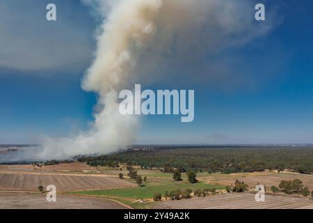 Luftbild eines fernen Buschfeuers, das auf trockenem Farmland bei Barooga in New South Wales, Australien, brennt. Stockfoto