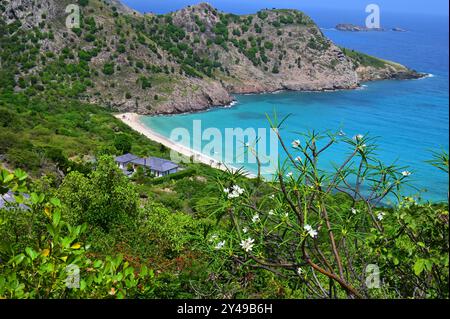 FRANKREICH. INSEL SAINT-BARTHELEMY (977). THE GOVERNOR'S BEACH. Stockfoto
