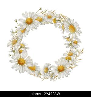 Rundkranz aus weißen Blumen Gänseblümchen, Knospen, getrockneten Blumen als Symbol für Reinheit, Unschuld, Liebe, Treue. Aquarell Clipart auf Transparent Stockfoto