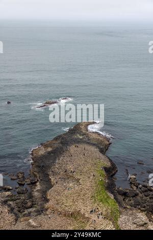 Blick aus der Vogelperspektive auf den Giant's Causeway mit Touristen, die auf den berühmten Basaltsäulen spazieren gehen. Das vertikale Foto zeigt die einzigartigen geologischen Formationen und t Stockfoto