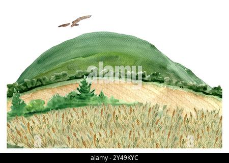 Weizenfelder mit Buschrändern, Drachen, Hügeln, Himmel und Mohnblumen Aquarell isoliert auf weiß. Handgemalte Natur, Landschaftsgestaltungselemente Stockfoto
