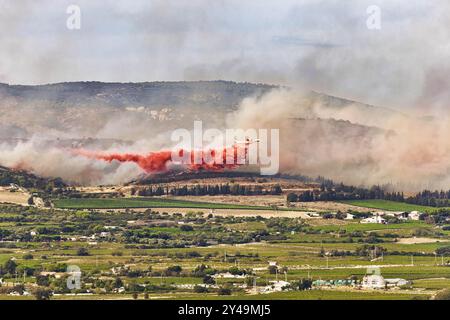 FRANKREICH. OCCITANIE. HERAULT (34) MASSIF DE LA GARDIOLE. FEUER ZWISCHEN GIGEAN UND FRONTIGNAN AM 18. AUGUST 2024. BEGINNEND AM RAND DER AUTOBAHN A9, Stockfoto