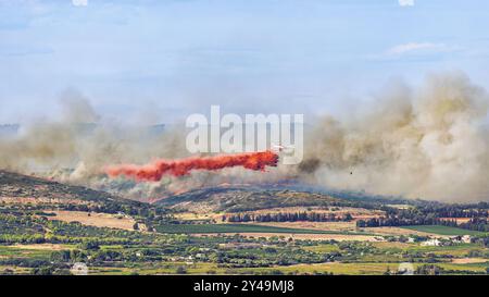 FRANKREICH. OCCITANIE. HERAULT (34) MASSIF DE LA GARDIOLE. FEUER ZWISCHEN GIGEAN UND FRONTIGNAN AM 18. AUGUST 2024. BEGINNEND AM RAND DER AUTOBAHN A9, Stockfoto