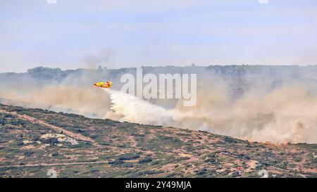 FRANKREICH. OCCITANIE. HERAULT (34) MASSIF DE LA GARDIOLE. FEUER ZWISCHEN GIGEAN UND FRONTIGNAN AM 18. AUGUST 2024. BEGINNEND AM RAND DER AUTOBAHN A9, Stockfoto