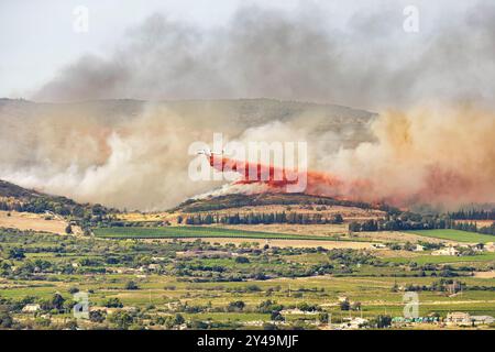 FRANKREICH. OCCITANIE. HERAULT (34) MASSIF DE LA GARDIOLE. FEUER ZWISCHEN GIGEAN UND FRONTIGNAN AM 18. AUGUST 2024. BEGINNEND AM RAND DER AUTOBAHN A9, Stockfoto