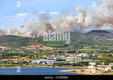 FRANKREICH. OCCITANIE. HERAULT (34) MASSIF DE LA GARDIOLE. FEUER ZWISCHEN GIGEAN UND FRONTIGNAN AM 18. AUGUST 2024. BEGINNEND AM RAND DER AUTOBAHN A9, Stockfoto