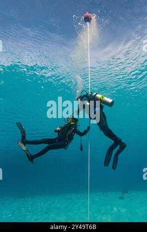 Zwei Taucher in klarem blauem Flachwasser halten sich an der SMB-Linie fest Stockfoto