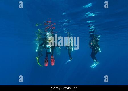 Farbenfrohe kleine Gruppe von vier Tauchern, die auf die Rückkehr zu ihrem Boot warten, das Bild direkt unter der Oberfläche aufgenommen. Taucher sind nicht erkennbar Stockfoto