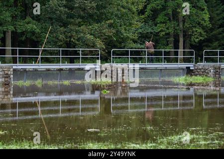 Rozmberk, Tschechische Republik. September 2024. Sicherheitsüberlauf des Rozmberk-Teiches in Rozmberk, Tschechische Republik, 17. September 2024. Die Kapazität des Teichs, der nach extremen Regenfällen gefüllt wurde. Quelle: Vaclav Pancer/CTK Photo/Alamy Live News Stockfoto