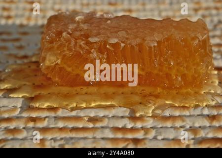 Jüdische Pascha-Matza mit Honig. Waben auf einer Matzah. Stockfoto