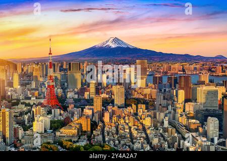 Aus der Vogelperspektive von Tokio mit dem Fuji-Berg in Japan. Stockfoto