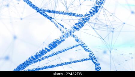 Bild des dna-Strangs und der Verbindungen auf weißem Hintergrund Stockfoto