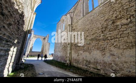 Abbaye Notre-Dame-de-Ré dite des Châteliers, La Flotte-en-Ré, Insel Ré, Deux-Sèvres, Frankreich Stockfoto