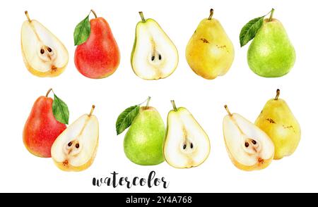 Handgemalte Aquarellbirne Set Botanische Illustration Stockfoto