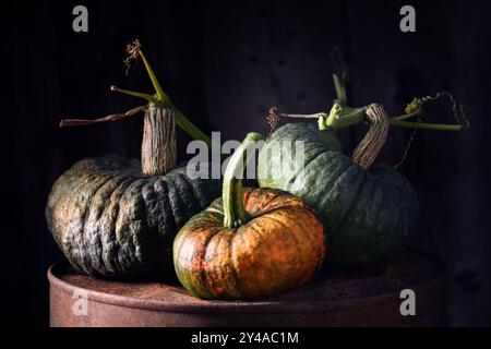 Drei verschiedene Kürbisse auf einem alten rostigen Fass in einem dunklen rustikalen Stil. Thanksgiving oder Halloween Hintergrund. Kürbiskonzept Herbst Stockfoto