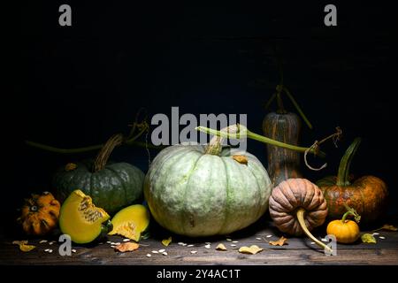 Thanksgiving oder Halloween Hintergrund von verschiedenen Arten von Kürbissen auf einem alten Holztisch in einem rustikalen Stil. Kürbiskonzept Herbst Stockfoto