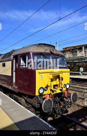 West Coast Railways Class 57/3 Diesel No 57313 Scarborough Castle an der Carlisle Citadel Station, auf der Rückseite der Northern Belle von Hull. Stockfoto