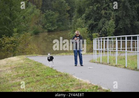 Olomouc, Tschechische Republik. September 2024. Nach den Überschwemmungen in der Region Olmütz, Olmütz, Tschechische Republik, 17. September 2024. Quelle: Ludek Perina/CTK Photo/Alamy Live News Stockfoto