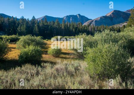 Wheeler Crest verfügt über mehrere Gipfel in der Sierra Nevada über 11.000 m Höhe, die Bishop und das Owens Valley in Kalifornien überblicken. Stockfoto