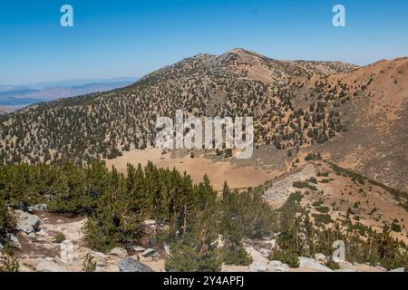 Wheeler Crest verfügt über mehrere Gipfel in der Sierra Nevada über 11.000 m Höhe, die Bishop und das Owens Valley in Kalifornien überblicken. Stockfoto