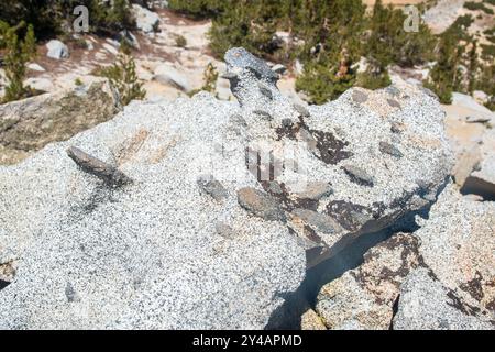 Wheeler Crest verfügt über mehrere Gipfel in der Sierra Nevada über 11.000 m Höhe, die Bishop und das Owens Valley in Kalifornien überblicken. Stockfoto