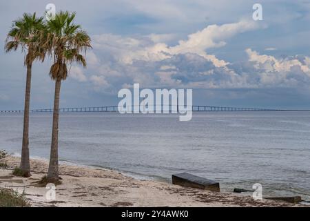 Die Sunshine Skyway Bridge über Tampa Bay mit Strand und Palmen im Vordergrund. Florida USA Stockfoto