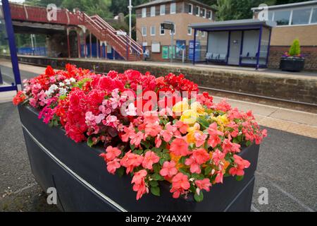 Bahnhof Corbridge in Northumberland Stockfoto