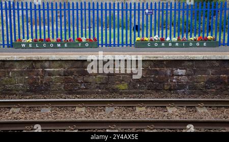 Bahnhof Corbridge in Northumberland Stockfoto