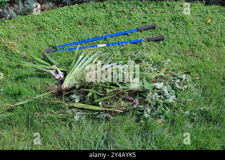 Gosport, Hampshire, England. 11. September 2024. Schere mit langem Griff neben Schnittgut. Dieses Foto ist eines einer Serie, die ich kürzlich bei einem Besuch im Regency Garden von Alverstoke während der Gosport Heritage Open Days gemacht habe. In dieser Auswahl sind einige Fotos enthalten, die ich auf dem Weg zum und vom Garten gemacht habe, als ich zu Fuß war. Stockfoto