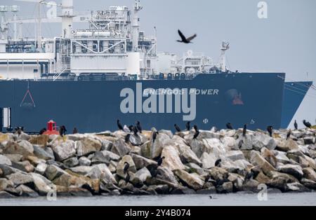 Sassnitz Mukran, Deutschland. September 2024. Die Regasifizierungsschiffe (FSRU, Floating Storage and Regasification Unit) Energos Power (Vordergrundstück) und Neptun (Neptun) liegen im Hafen von Mukran. Die Schiffe sind Teil des Energieterminals "Deutsche Ostsee". Nach den Plänen der Betreiber wird das Flüssigerdgas-Terminal Rügen ebenfalls zur Versorgung nordischer Länder mit Erdgas per Schiff beitragen. Quelle: Stefan sauer/dpa/Alamy Live News Stockfoto