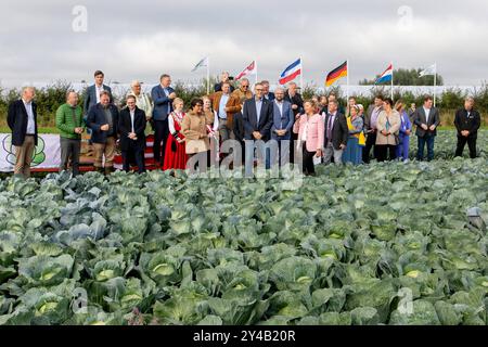 Dithmarscher Kohltage 2024 eröffnet mit dem Kohlanschnitt die Tradition im größten, zusammenhängenden Kohlanbaugebiet Europas sind die alljährliche Kohltage. In einem besonderen Event eröffnete die Kreispräsidentin Ute Borwieck-Dethlefs, gemeinsam mit Gästen aus Politik und Wirtschaft, sowie den Kohlregentinnen die Saison. Begleitend dazu sind in Dithmarschen Veranstaltungen rund um den Kohl mit kulinarischen Highlights der Region verbunden. Schleswig Holstein Deutschland 353A5192 *** Dithmarscher Kohltage 2024 eröffnet mit dem Kohschnitt die jährlichen Kohltage sind in Europa Tradition Stockfoto