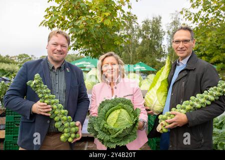 Dithmarscher Kohltage 2024 eröffnet mit dem Kohlanschnitt die Tradition im größten, zusammenhängenden Kohlanbaugebiet Europas sind die alljährliche Kohltage. In einem besonderen Event eröffnete die Kreispräsidentin Ute Borwieck-Dethlefs, gemeinsam mit Gästen aus Politik und Wirtschaft, sowie den Kohlregentinnen die Saison. Begleitend dazu sind in Dithmarschen Veranstaltungen rund um den Kohl mit kulinarischen Highlights der Region verbunden. Schleswig Holstein Deutschland 353A5153 *** Dithmarscher Kohltage 2024 eröffnet mit dem Kohschnitt die jährlichen Kohltage sind in Europa Tradition Stockfoto