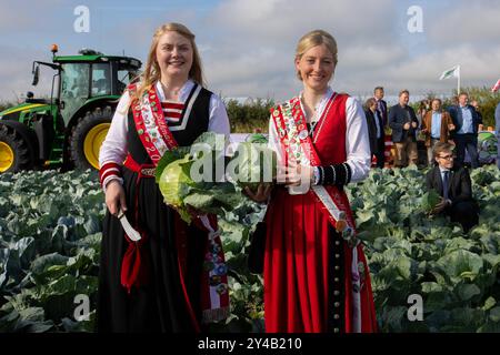 Dithmarscher Kohltage 2024 eröffnet mit dem Kohlanschnitt die Tradition im größten, zusammenhängenden Kohlanbaugebiet Europas sind die alljährliche Kohltage. In einem besonderen Event eröffnete die Kreispräsidentin Ute Borwieck-Dethlefs, gemeinsam mit Gästen aus Politik und Wirtschaft, sowie den Kohlregentinnen die Saison. Begleitend dazu sind in Dithmarschen Veranstaltungen rund um den Kohl mit kulinarischen Highlights der Region verbunden. Schleswig Holstein Deutschland 353A5297 *** Dithmarscher Kohltage 2024 eröffnet mit dem Kohschnitt die jährlichen Kohltage sind in Europa Tradition Stockfoto