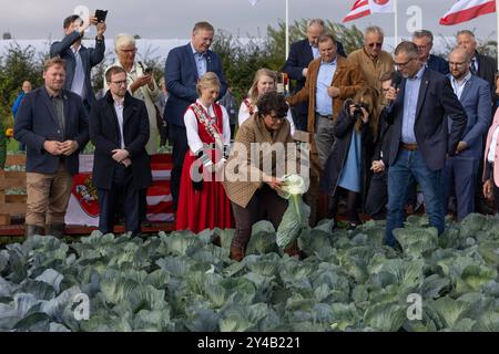 Dithmarscher Kohltage 2024 eröffnet mit dem Kohlanschnitt die Tradition im größten, zusammenhängenden Kohlanbaugebiet Europas sind die alljährliche Kohltage. In einem besonderen Event eröffnete die Kreispräsidentin Ute Borwieck-Dethlefs, gemeinsam mit Gästen aus Politik und Wirtschaft, sowie den Kohlregentinnen die Saison. Begleitend dazu sind in Dithmarschen Veranstaltungen rund um den Kohl mit kulinarischen Highlights der Region verbunden. Schleswig Holstein Deutschland  5DL2439 *** Dithmarscher Kohltage 2024 eröffnet mit dem Kohschnitt die jährlichen Kohltage sind in Europa Tradition Stockfoto