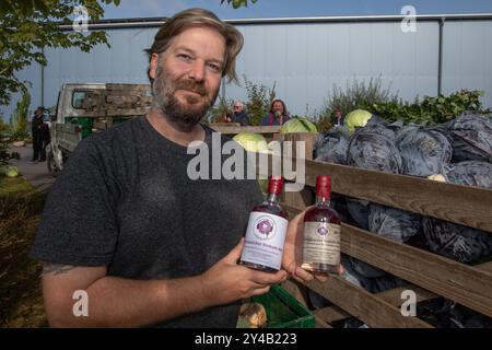 Dithmarscher Kohltage 2024 eröffnet mit dem Kohlanschnitt die Tradition im größten, zusammenhängenden Kohlanbaugebiet Europas sind die alljährliche Kohltage. In einem besonderen Event eröffnete die Kreispräsidentin Ute Borwieck-Dethlefs, gemeinsam mit Gästen aus Politik und Wirtschaft, sowie den Kohlregentinnen die Saison. Begleitend dazu sind in Dithmarschen Veranstaltungen rund um den Kohl mit kulinarischen Highlights der Region verbunden. Als Besonderheit bietet Thomas Palm Dithmarschre Rotkohlmet an. Schleswig Holstein Deutschland 353A5386 *** Dithmarscher Kohltage 2024 eröffnet mit dem Cabb Stockfoto