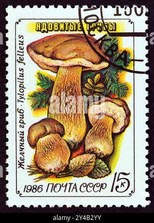 UdSSR - UM 1986: Ein in der UdSSR gedruckter Stempel aus der "Pilz"-Ausgabe zeigt Bitterbolete (Tylopilus felleus) Stockfoto