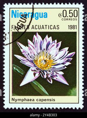 NICARAGUA - UM 1981: Ein in Nicaragua gedruckter Stempel aus der Ausgabe "Wasserblumen" zeigt Nymphaea capensis Stockfoto