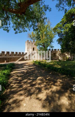 Castelo de Torres Novas mittelalterliche Burg in Torres Novas, Portugal, Europa Stockfoto