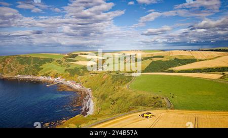 Kombinieren Sie Harvester Crovie Aberdeenshire Scotland ein Gerstenfeld im Spätsommer mit Blick auf Crovie Weiler und das blaue Meer Stockfoto