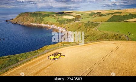 Kombinieren Sie Harvester Crovie Aberdeenshire Scotland ein Gerstenfeld im Spätsommer mit Blick auf Crovie Houses und das blaue Meer Stockfoto