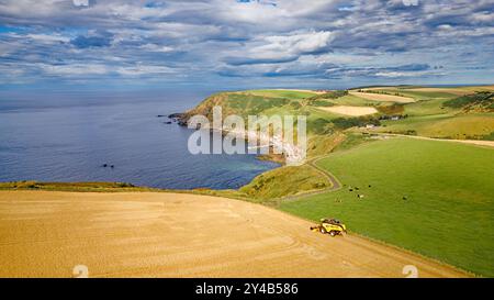 Harvester Crovie Aberdeenshire Scotland ist im Spätsommer ein blaues Gerstenfeld Stockfoto