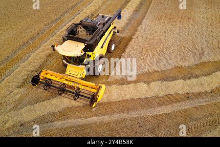 Mähdrescher Crovie Aberdeenshire Scotland eine Maschine auf dem goldenen Gerstenfeld im Spätsommer Stockfoto