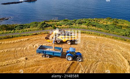 Mähdrescher Crovie Aberdeenshire Schottland Gerstenfeld im Spätsommer Harvester, der einen Anhänger mit Getreide befüllt Stockfoto
