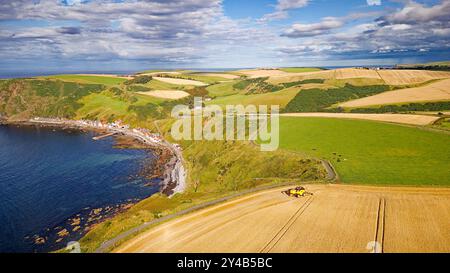 Kombinieren Sie Harvester Crovie Aberdeenshire Scotland Gerstenfeld im Spätsommer mit Blick auf Crovie Weiler und das blaue Meer Stockfoto